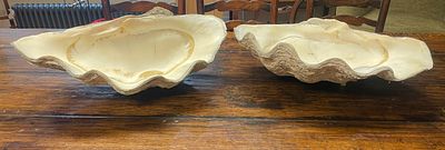 A Pair Of Giant Clam Shells - Approx 56cm in width for largest half