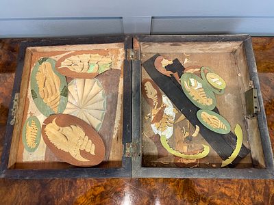 A Collection of Wood Marquetry and Veneer Shell Motifs in a Wooden Box. A collection of wood 