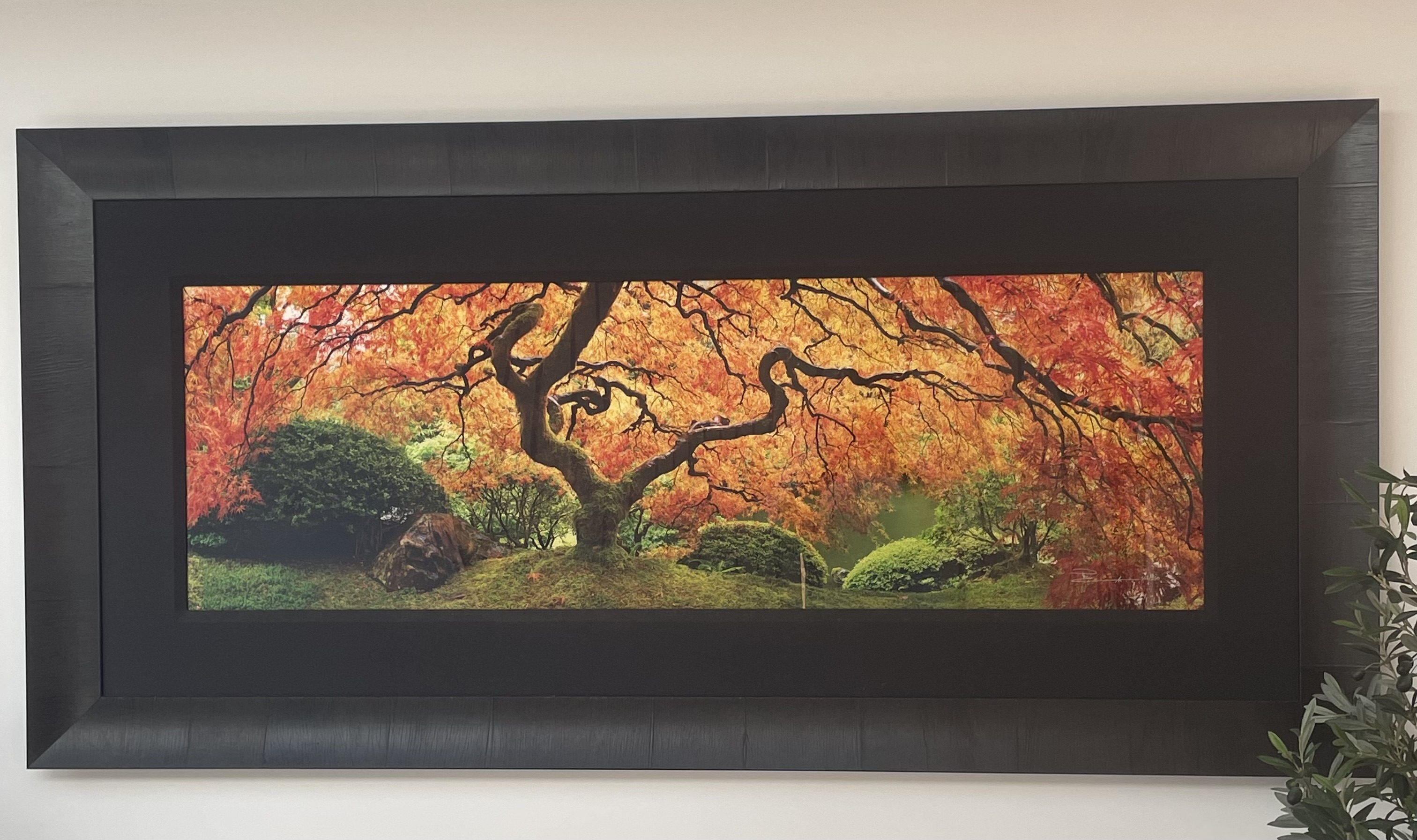 Peter Lik, 'Tree of Zen', Signed Limited Edition Panoramic Photograph 568/950