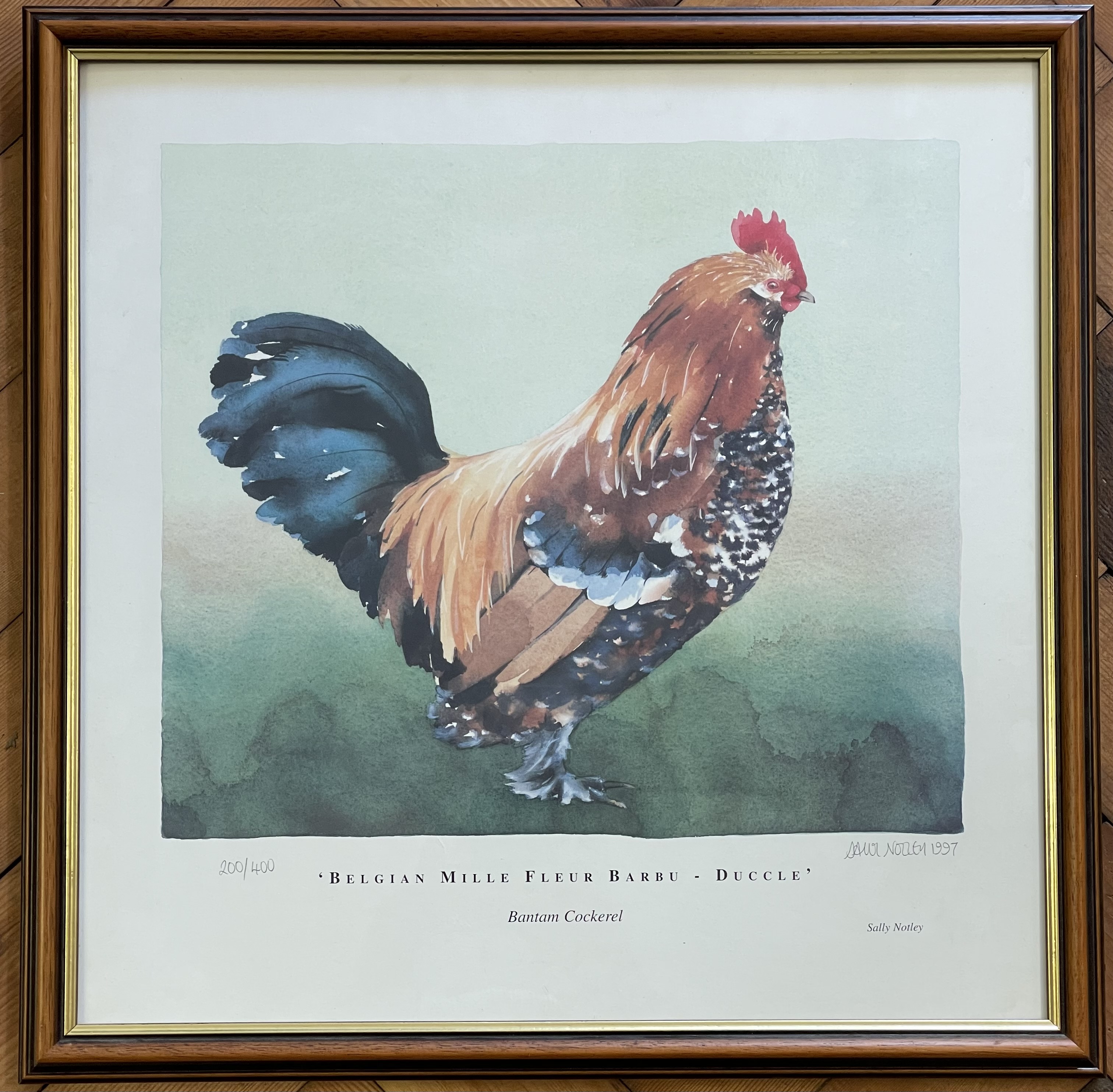 Sally Notley, Belgian Mille Fleur Barbu d'Uccle Bantam Cockerel, Limited Edition Print, 1997