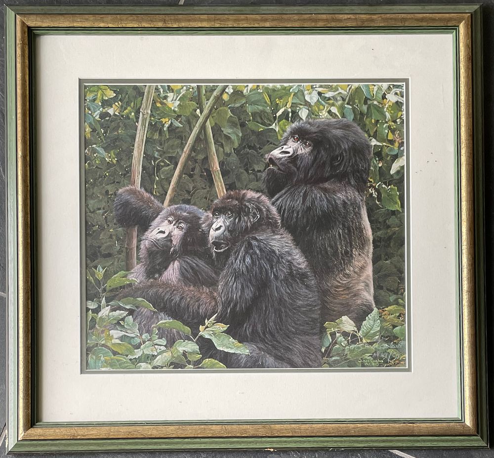 Lot 247 – Simon Combes Signed Limited Edition Print Mountain Gorillas AP 49/50