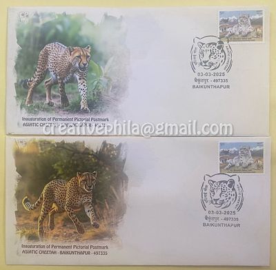 Permanent Pictorial Cancellation (Inagural Day Cancellation) 2025 Asiatic Cheetah - 