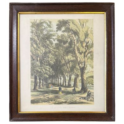 (63) Цветная литография "Парк Куарри, Шрусбери". Англия, 1845 г. В старинной раме. Размер 45х40 см