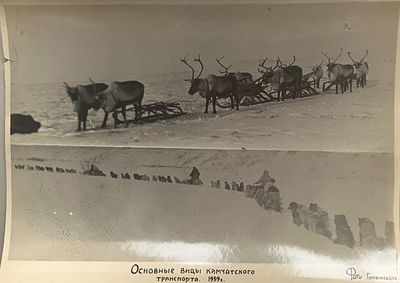 Основные виды Камчатского транспорта 1939 года . Фото Голынского 1939 год 
Размер: 22 х 17 . Осно 