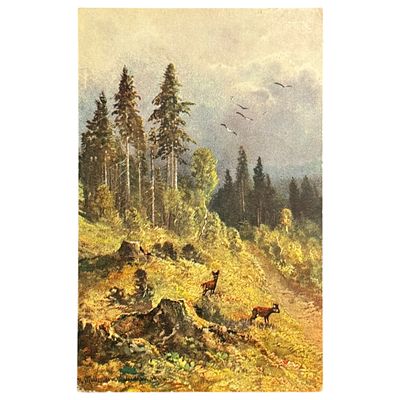 (3) Открытое письмо. Размер 9х14 см