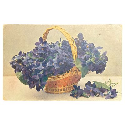 (3) Открытое письмо. Размер 9х14 см