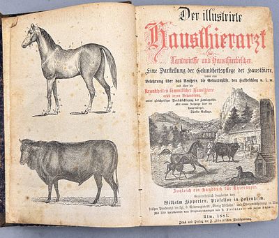 "Der illustrierte Hausthierarzt" f&uuml;r Landwirthe und haustthierbesitzer" 1881, Prof. Zipperten 