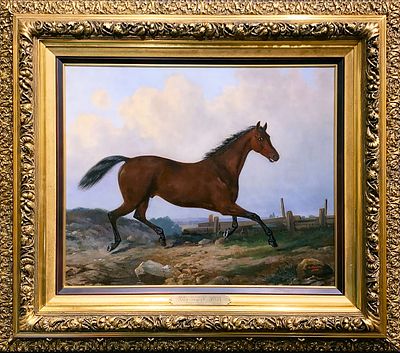 Швабе Александр Петрович (Schwabe; 1824–1872) Гнедой жеребец. 1864. Холст, масло. 51,2&times;63 