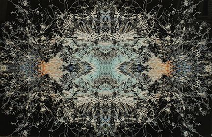 Daliano Ribani Auctions | Auction 64 | ASTA N.64 DI FOTOGRAFIA MODERNA E CONTEMPORANEA