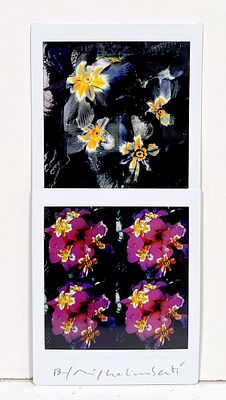 GALIMBERTI MAURIZIO, "BiFlowers" - GALIMBERTI MAURIZIO, Titolo: "BiFlowers", Mosaico 2 