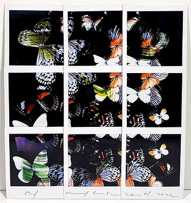 GALIMBERTI MAURIZIO, Butterfly - GALIMBERTI MAURIZIO, Titolo: Butterfly, Mosaico di 9 Fuji Instax 