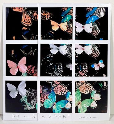 GALIMBERTI MAURIZIO, Butterfly - GALIMBERTI MAURIZIO, Titolo: Butterfly, Mosaico di 9 Fuji Instax 