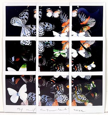 GALIMBERTI MAURIZIO, "Butterfly" - GALIMBERTI MAURIZIO, "Butterfly", Mosaico Fuji Instax 