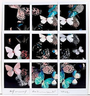 GALIMBERTI MAURIZIO - GALIMBERTI MAURIZIO, "Butterfly", Mosaico Fuji Instax Square, 21x22,5 cm. 