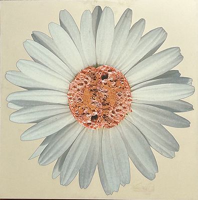 PEP MARCHEGIANI, "Margherita", 2017 - PEP MARCHEGIANI, "Margherita", 2017, stampa 