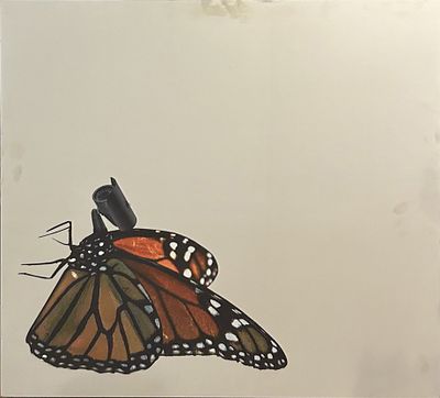 PEP MARCHEGIANI, "Buttercam", 2017 - PEP MARCHEGIANI, "Buttercam", 2017, stampa 