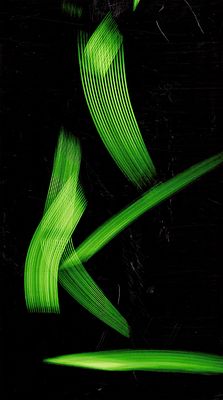 IVAN FALARDI "basic elements " 2014 - IVAN FALARDI "basic elements" , 2014, scatto 