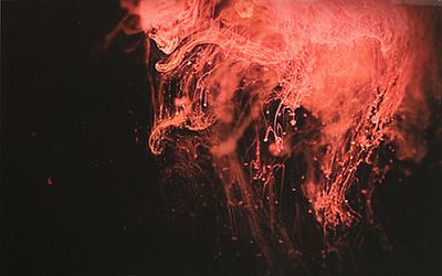 UGO RICCIARDI, "Fire", anni 2000 - UGO RICCIARDI, "Fire", anni 2000, fotografia su dbond 