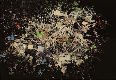 MARK COOPER, "Shattered", 2013 - MARK COOPER, "Shattered", 2013, fotografia su dbond, cm 