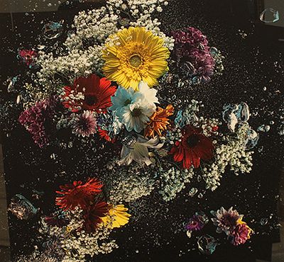 ANDREA CICALA POZZUOLI, "Flowers in the dark", 2014 - ANDREA CICALA POZZUOLI, "Flowers 