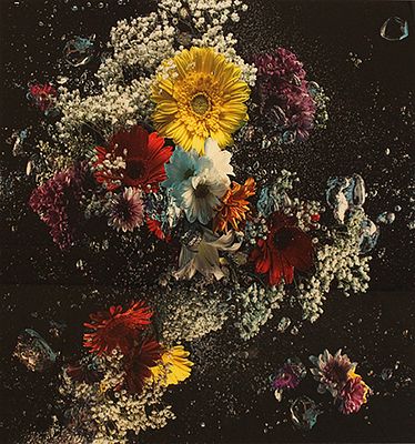 ANDREA CICALA POZZUOLI, "Flowers in the dark", 2014 - ANDREA CICALA POZZUOLI, "Flowers 