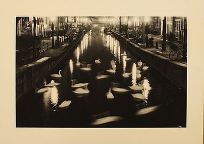 THOMAS SALME, "Swan Dance", anni 2000 - THOMAS SALME, "Swan Dance", anni 2000 