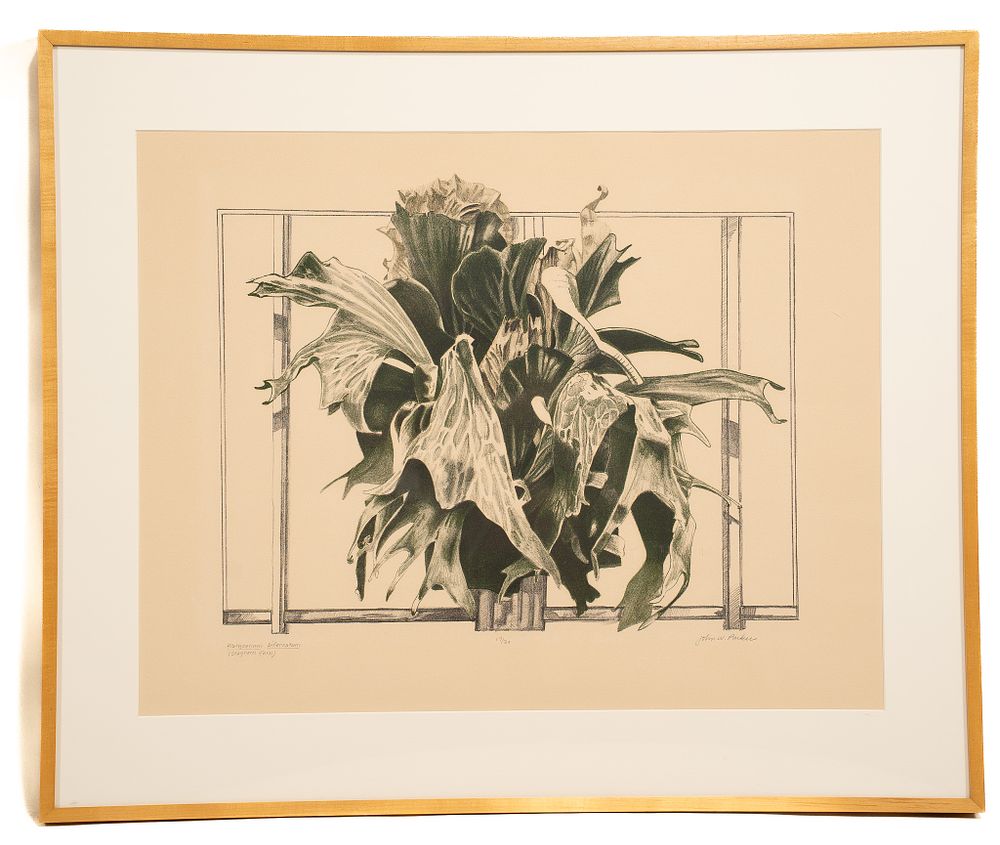 John Whiteman Parker, American, 1945, Platycerium Bifercatum Staghorn Fern, Engraving. John 
