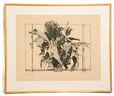 John Whiteman Parker, American, 1945, Platycerium Bifercatum Staghorn Fern, Engraving. John 