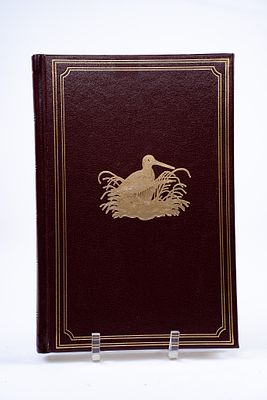 Frank Forrester, The Warwick Woodlands, 1990. The Warwick Woodlands 
Frank Forrester 
Derrydale 