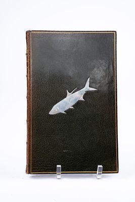 Eldridge Reeves Johnson, Tarpomania, 1910. Tarpomania -- The Madness of Fishing 
Eldridge Reeves 