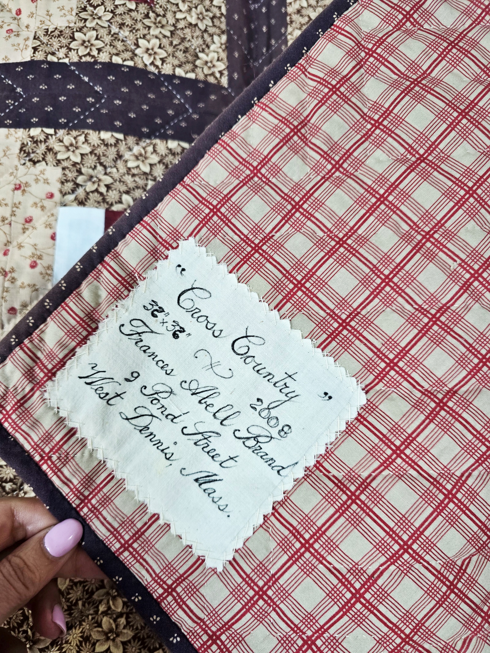 Cross Country Quilt by Frances Abell Brand