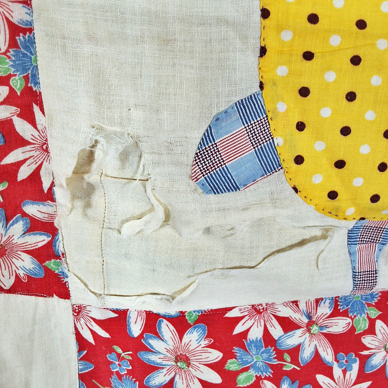 Vintage c1950 Turtle Summer Quilt