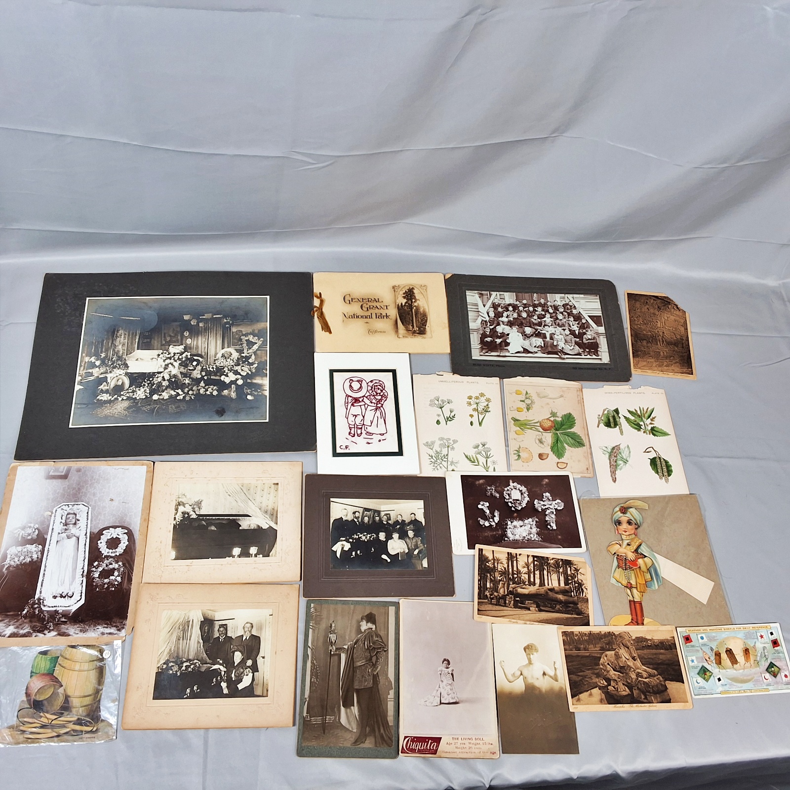 Collection of Antique Photos and Cards