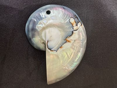 תליון קליפת צדפה טבעית עם גוונים מבריקים