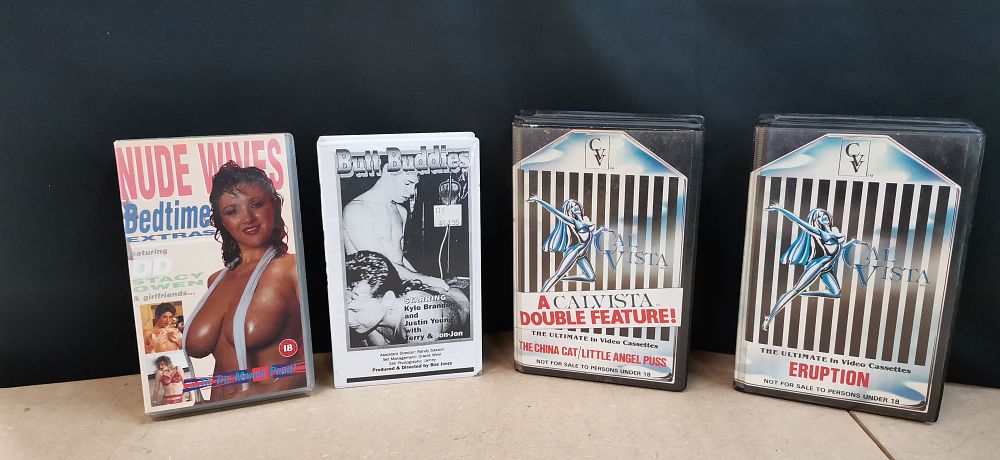 Lot 581: An Assortment of Vintage Adult VHS Video Cassettes