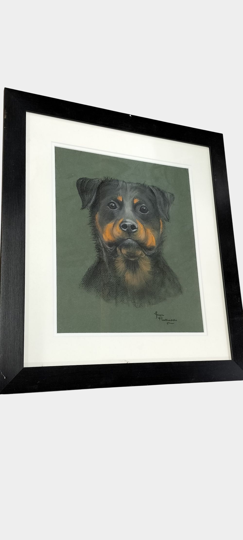 Lot 412: Joan Parkinson, Zeus, Pastel Portrait of a Rottweiler Dog