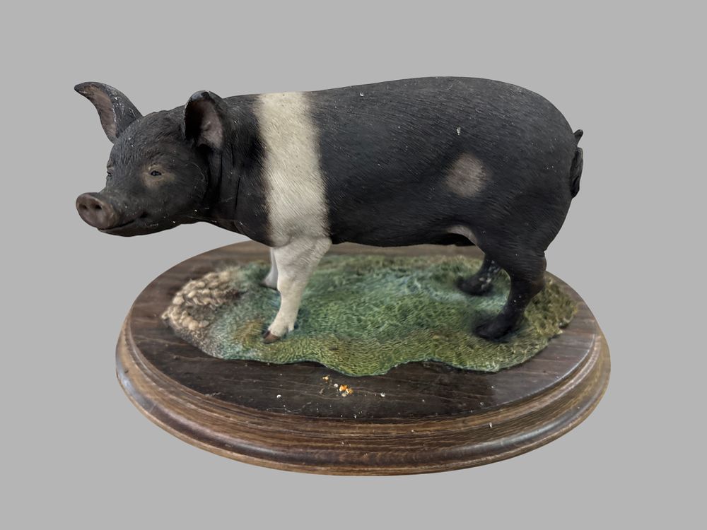 Lot 412: Country Artists Resin Model of a British Saddleback Pig by Wills