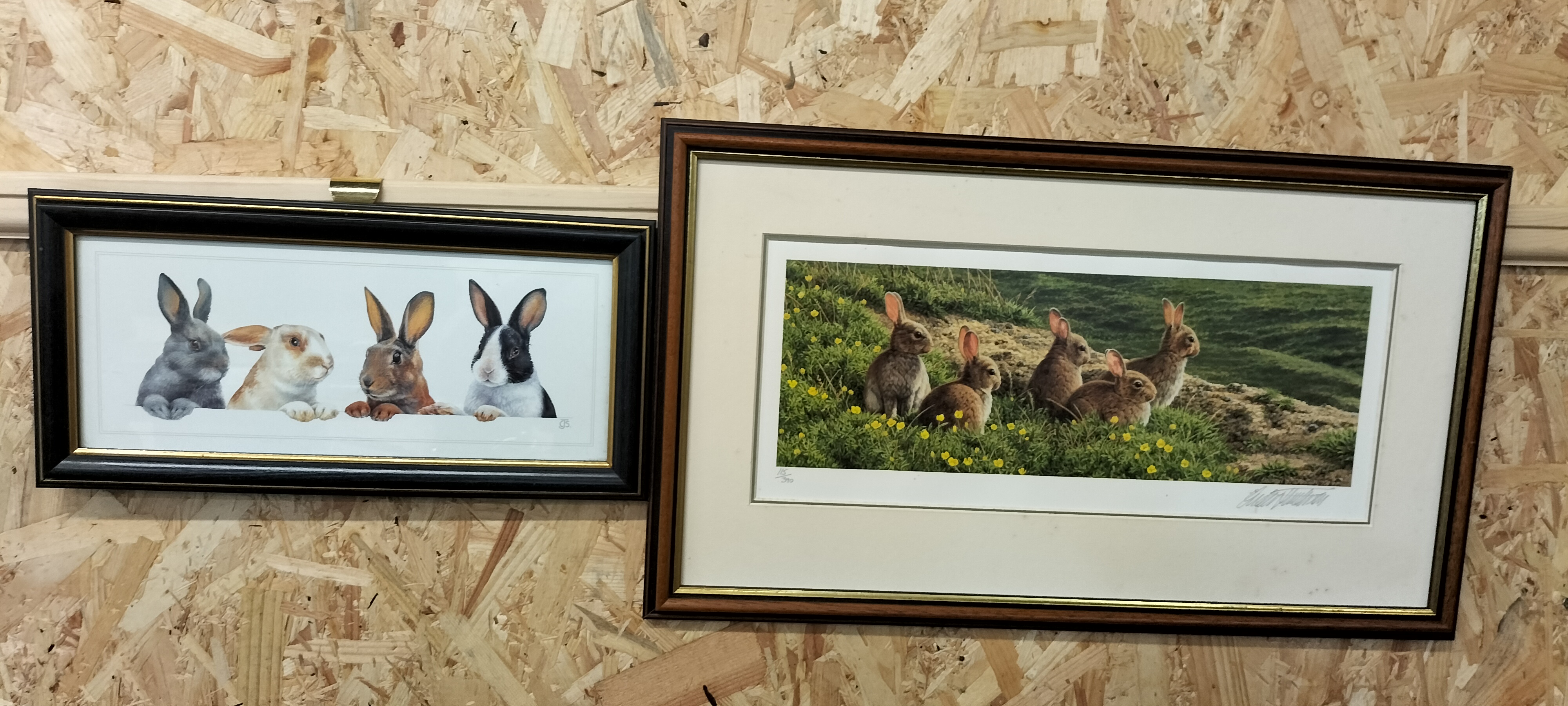 2 Framed Rabbit Prints including Andrew Hutchinson 'Rabbits' Signed Limited Edition Print