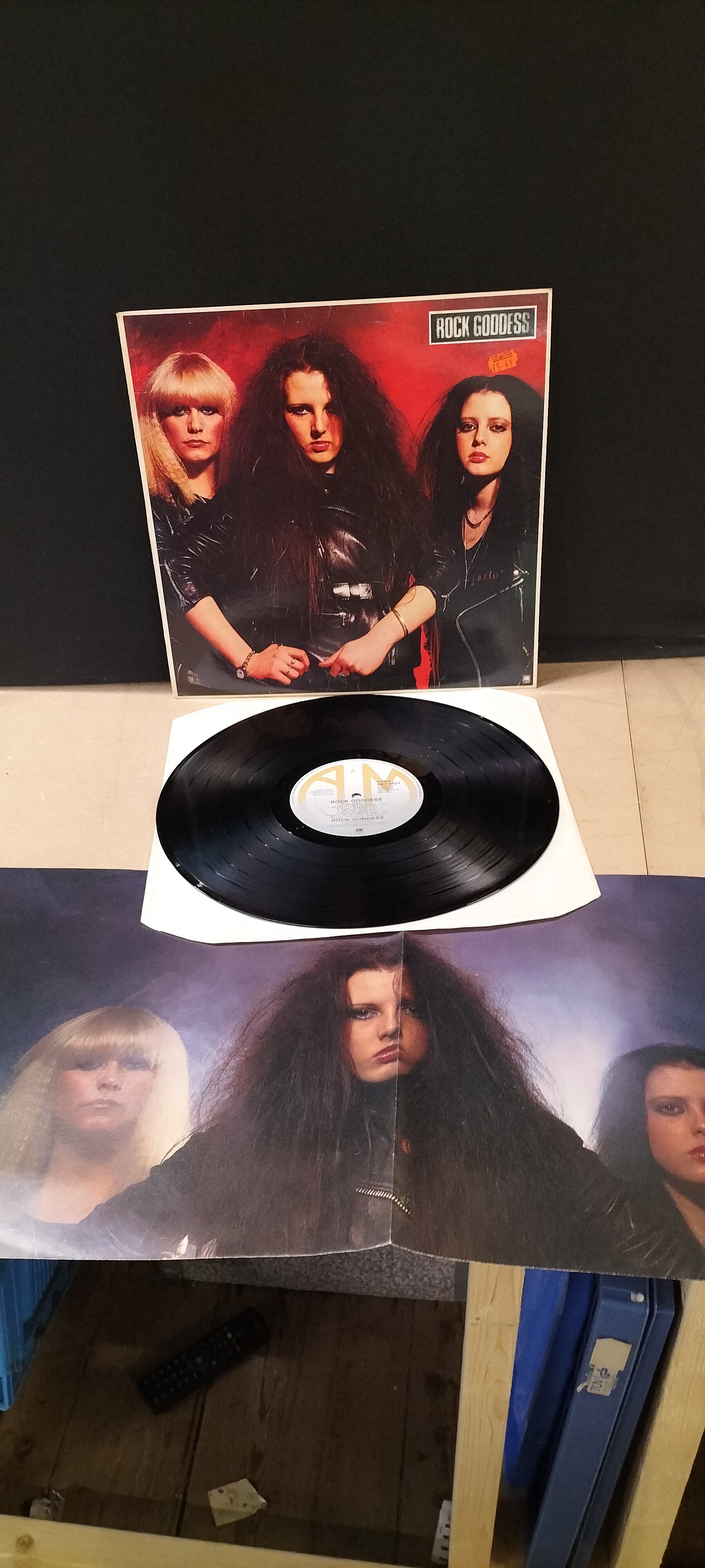A Rock Goddess Rock Goddess Vinyl LP, AMLH 68554