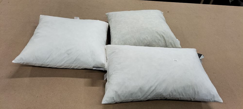 Lot 302: 3 Duck Feather and Down Cushion Pads