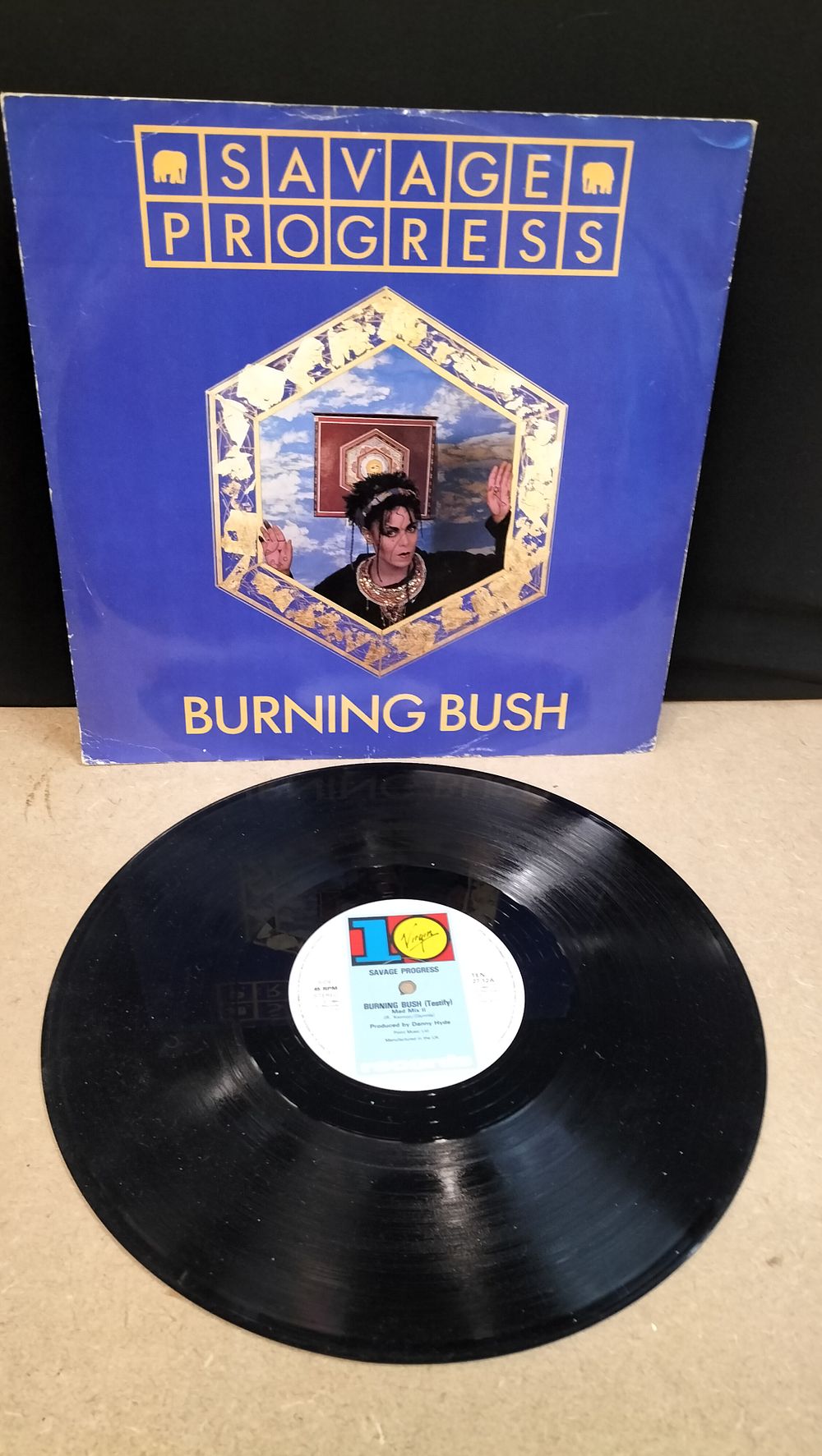 Lot 313: A Savage Progress Burning Bush Vinyl Single, TEN 27-12