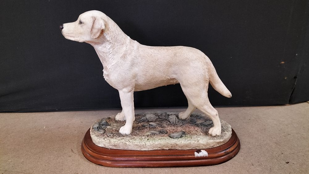 Lot 336: A Border Fine Arts Studio Resin Labrador Standing Yellow Figurine, A3092