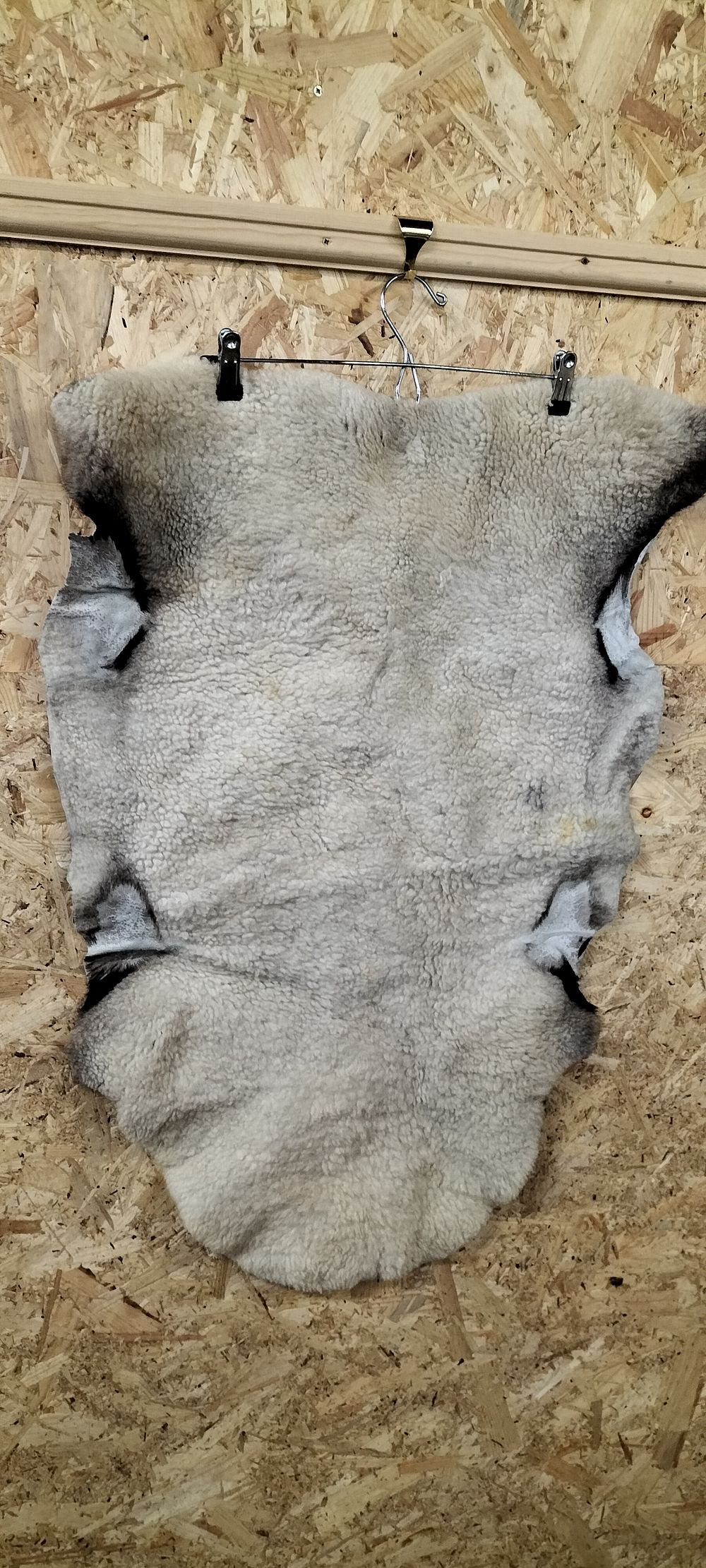 Lot 215: A Natural Reindeer Pelt with Dark Contrast Edges