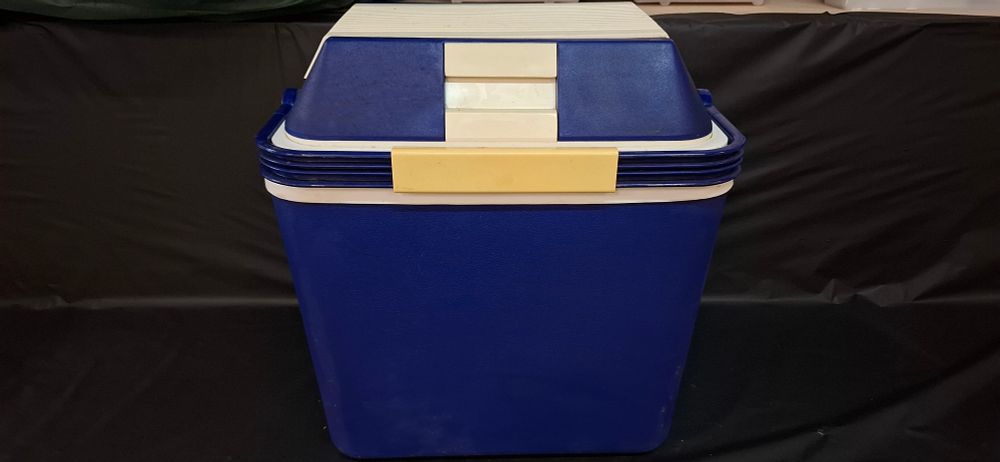 Lot 158: A 24L Electric Cooler and Warmer Box