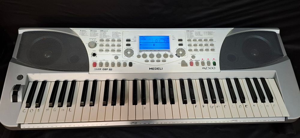 Lot 184: A Medeli md300 61-Key Portable Electronic Keyboard and Stand