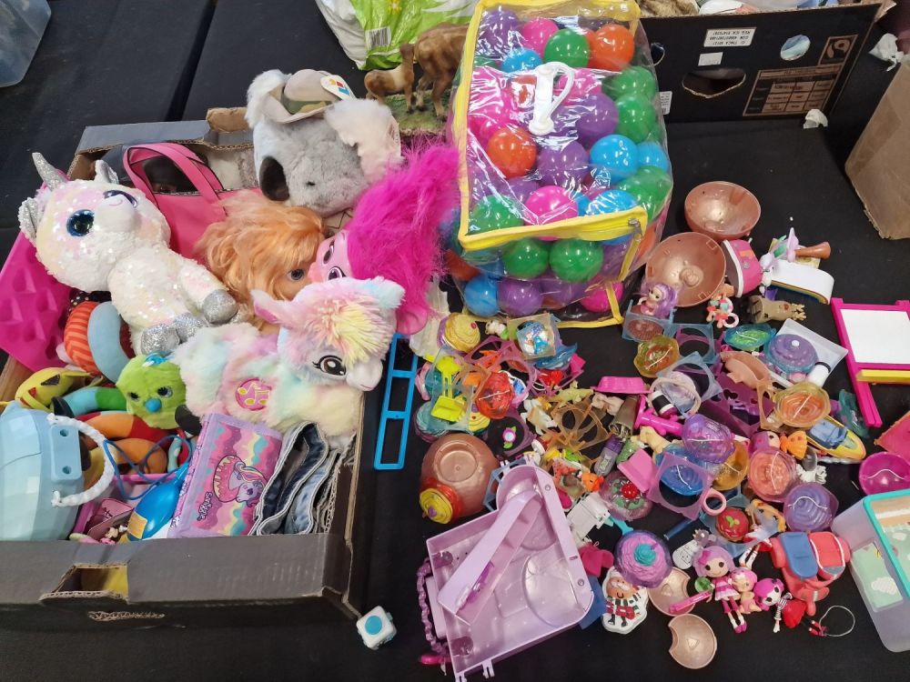 Lot 269: Children's girl bundle. Includes LOL, moody kids, smiggle,...