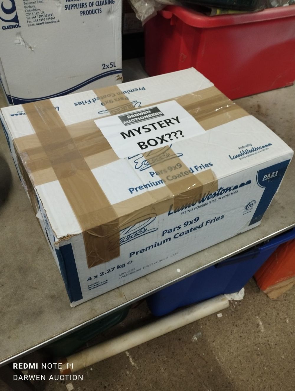 Lot 341: ??? Mystery Box ???