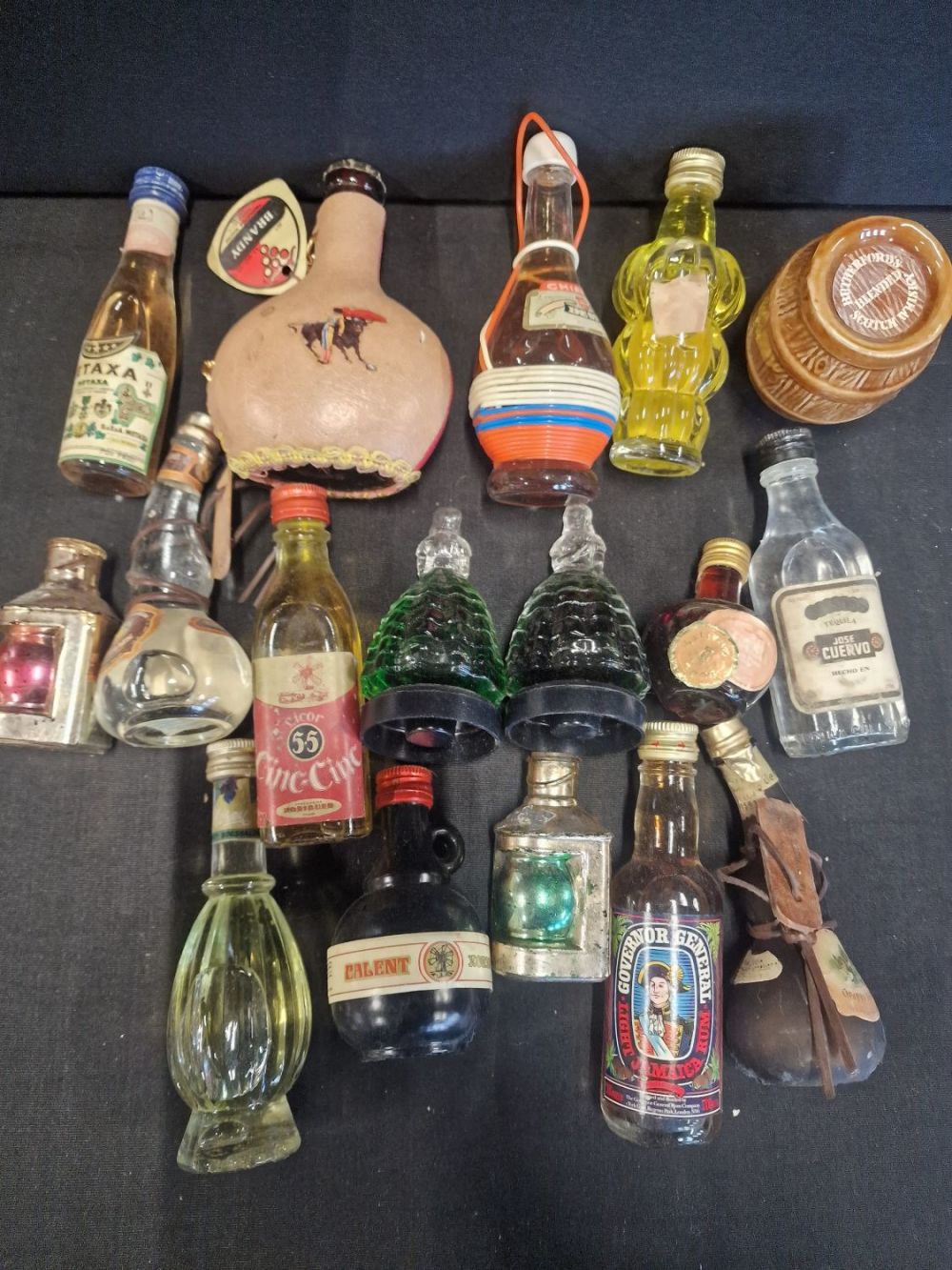 Lot 295: A quantity of 16 alcohol miniatures includes Brandy,...