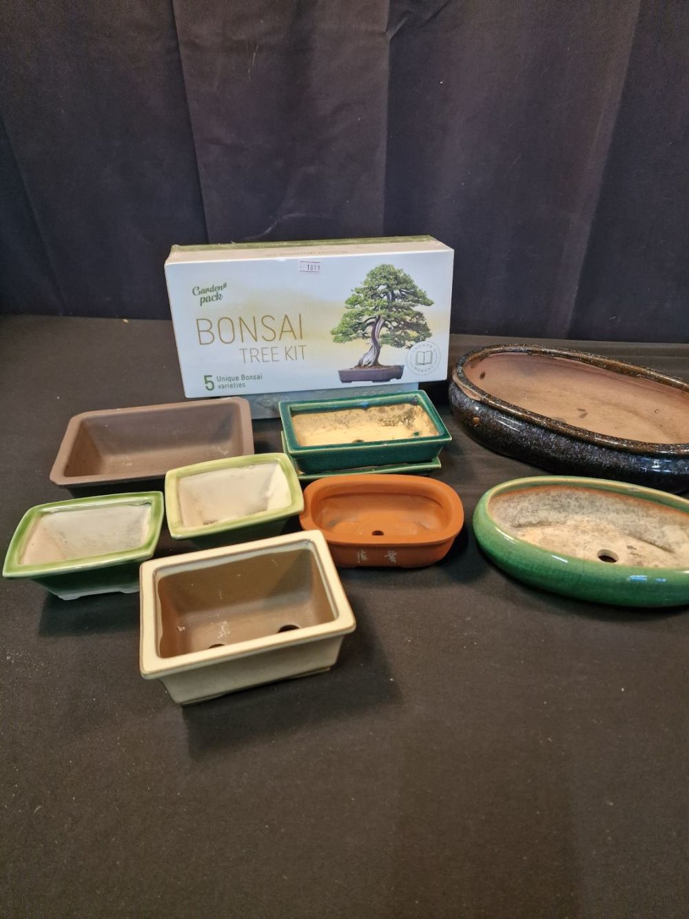Lot 125: A brand new BONSAI tree kit with 5...