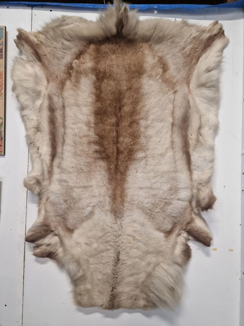 Lot 270: Norwegian Reindeer Skin Deer Skin Hide Rug (Rangifer...